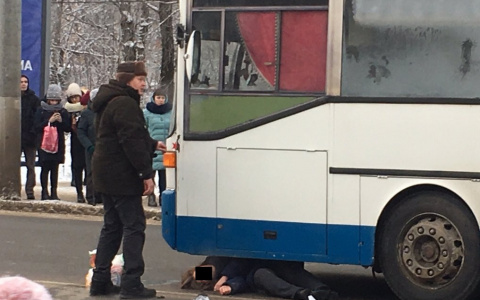 Во Владимире возле ВлГУ автобус сбил женщину на пешеходном переходе (фото, видео)