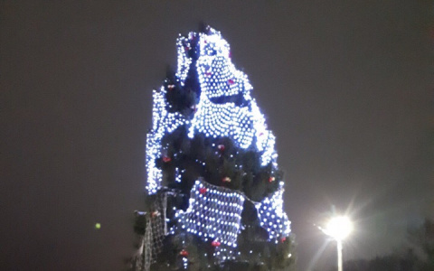 Ёлка из Александрова стала всероссийским мемом: когда и почему