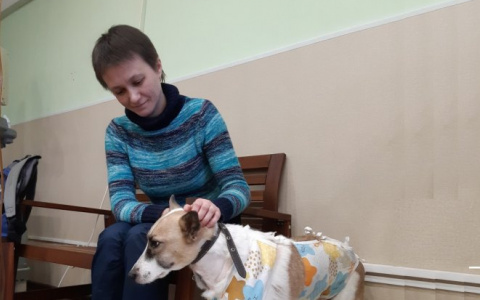 Горожанка рассказала трогательную историю выздоровления своей собаки