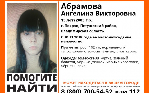 Во Владимирской области без вести пропала 15-летняя девушка
