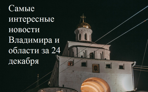 Владимир за день: налог на животных, пропавшая девушка и авария с пассажирским автобусом