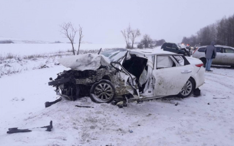 Жуткая статистика: 9 погибших за неделю на дорогах 33 региона