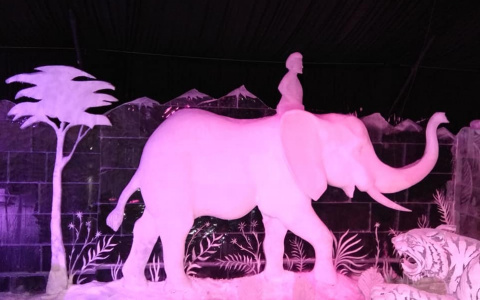 Гарри Поттер и олень Патронус: ледяные фигуры владимирского скульптора