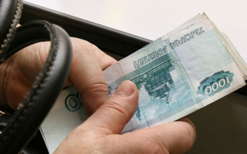 Тяга к России вынудила иностранца дать взятку: план с треском провалился