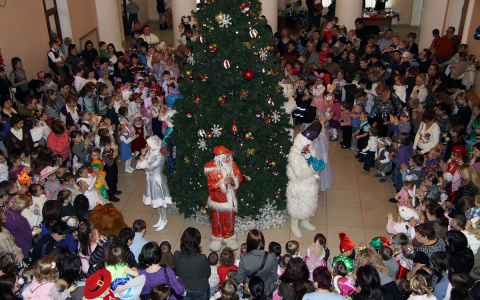 Где провести Новогодние каникулы во Владимире?