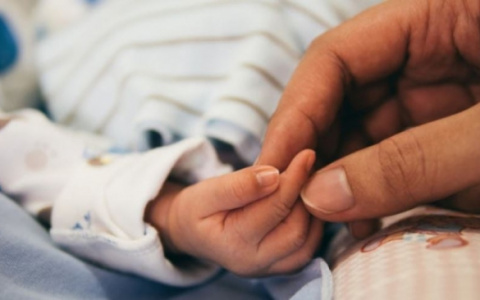 В 2018 году во Владимире родились Теона и Гордей, но ни одной Галины