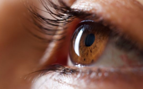 Тест дня: проверьте, насколько плохое у вас зрение