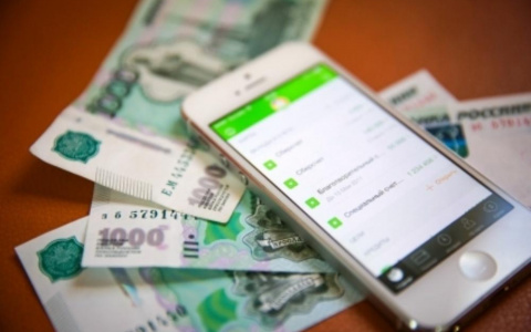 Девушка украла деньги у мамы любовника ради покупок в Интернете