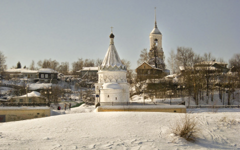 В Муроме установят памятник ромашке