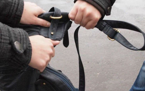 Подбегал, похищал, скрывался: в Муроме задержан серийный грабитель