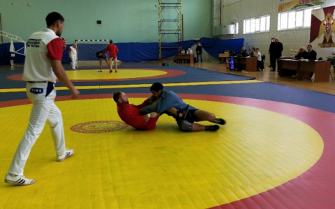 Владимирские полицейские стали областными чемпионами самбо в 2 категориях