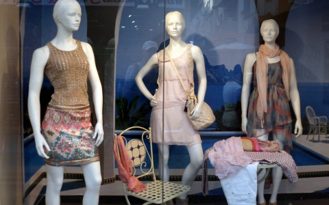 Неудачный криминал: мужик в Муроме стащил женскую куртку с манекена