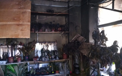 В Александрове сгорел цветочный магазин