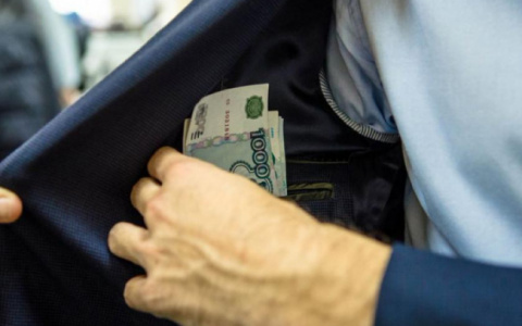 Директор лесничества под Петушками пытался помочь детям через взятку