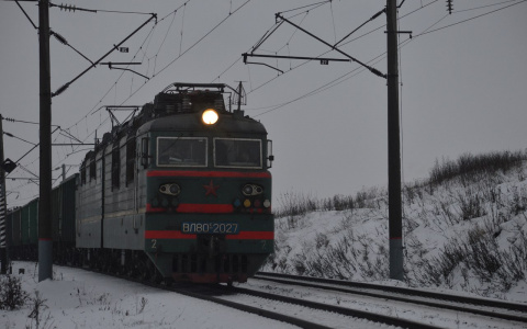Владимир Сипягин оставил возраст льготного проезда на поездах прежним