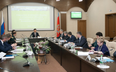 Во Владимирской области будут бороться с незаконным оборотом древесины