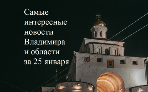 Владимир за день: бешеная лиса, авария с автобусом и приговор для горе-матери