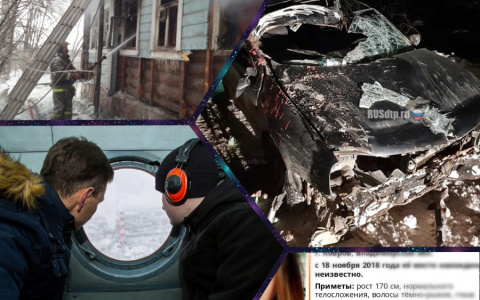 Владимир за день: погибший лось, найденная девушка и дом, объятый пламенем