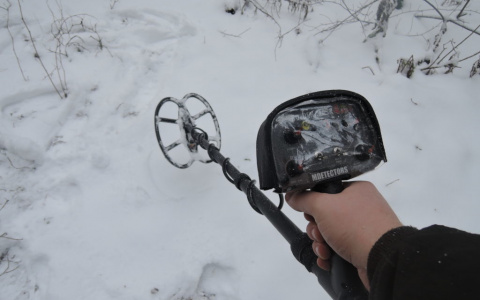 Житель Владимира "накопал" серебряных монет на 3,5 миллиона рублей