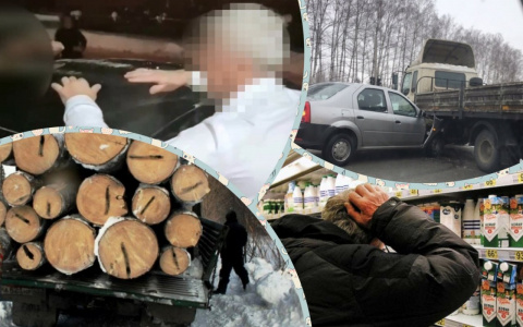 Владимир за день: дорогая еда, "чёрные лесорубы" и трагедия в Вязниках
