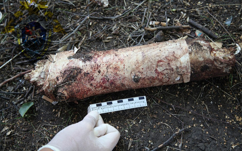 В Собинке мужчина до смерти забил поленом своего собутыльника