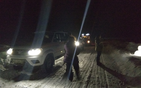 Спасатели и волонтеры спасли двух женщин в лесу под Владимиром