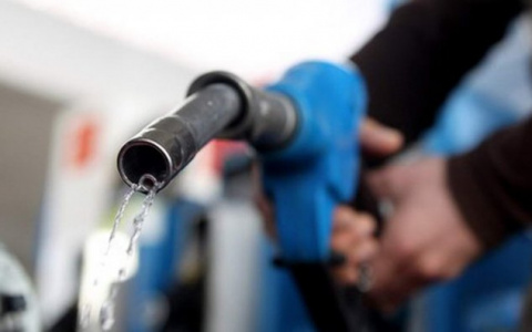 Безработный в Петушках «намутил» бизнес за счёт родственника