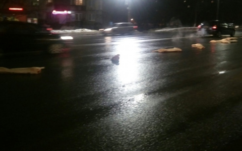 Утро во Владимире: трупы свиней выложили посреди дороги