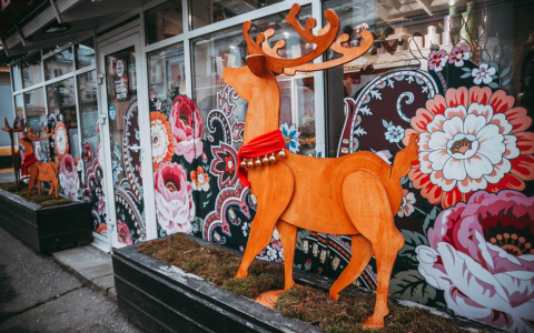 Неизвестные во Владимире украли декоративного оленя (видео)