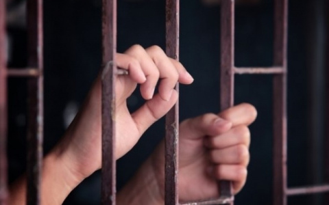 Жительница Владимирской области будет наказана за нацизм в Интернете