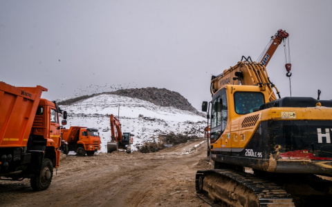 Владимирцы рассказали о наиболее острых экологических проблемах