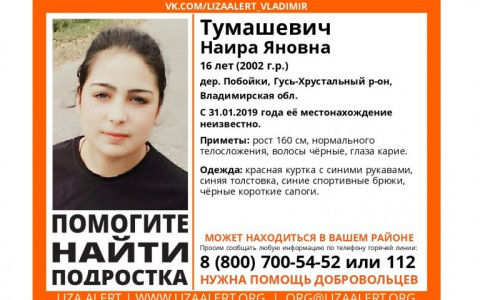 Владимирцев просят помочь в поисках 16-летней девочки