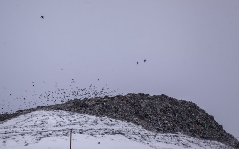 Владимирскую область избавят от завоза мусорах из соседних регионов