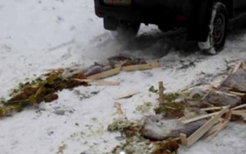 Пустили под бульдозер: во Владимирской области раздавили 60 кг фруктов