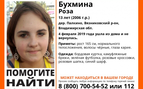 Владимирцев просят помощи в поисках 13-летней девочки, ушедшей из дома