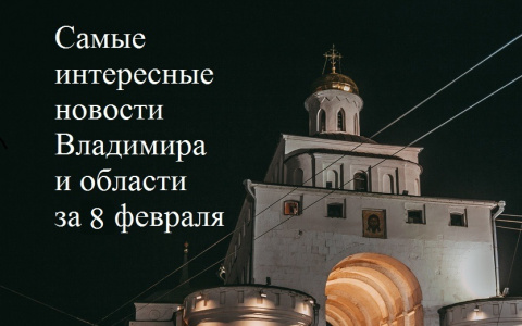 Владимир за день: раздавленные фрукты, убийство лося и опасные крыши
