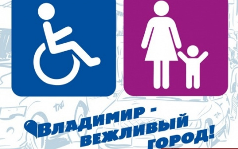 "Владимир — вежливый город": перевозчики объявили о начале социальной акции