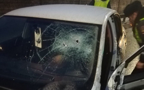 Профессиональный автоюрист оценила ситуацию с "живым щитом" во Владимире