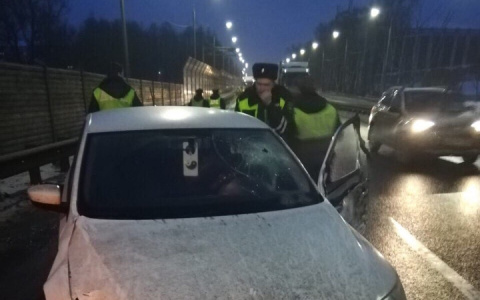 Водителю, протаранившему "живой щит" во Владимире, светит до 5 лет тюрьмы