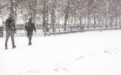 Мощный шторм добрался до Владимирской области