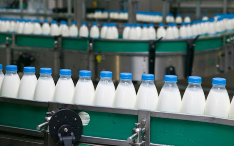 Молочный комбинат под Вязниками закрыли из-за жуткой антисанитарии