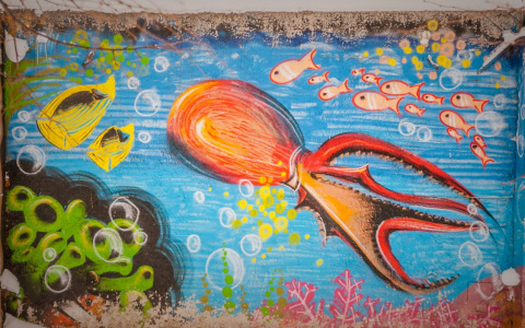 Во Владимире объявлен конкурс на лучшее граффити в городе