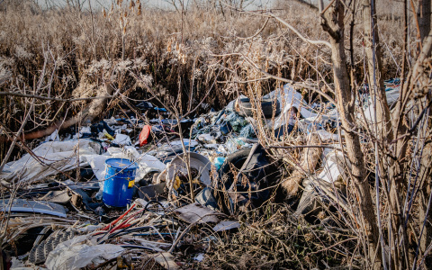Владимирская область утопает в мусоре: за год ликвидировали 1000 свалок