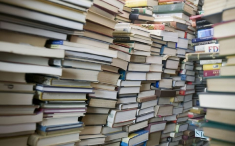 На школьные учебники во Владимирской области потратили 173 миллиона рублей