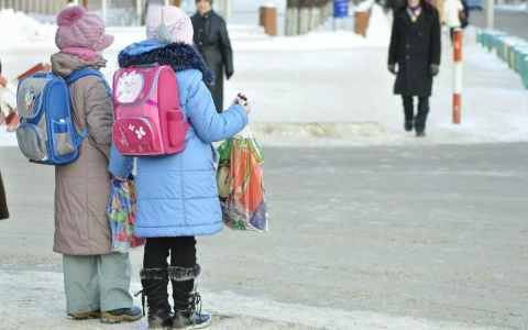 Родителям владимирских школьников отказали в льготном проезде для детей
