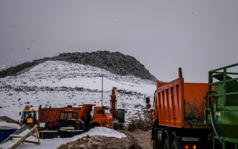 Стали известны подробности гибели мужчины на мусорном полигоне в Александрове