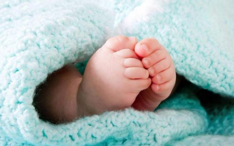 Эрнест, Робия и Евангелина родились во Владимире в 2018 году