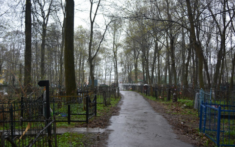 Демографический кризис Владимирской области: население уезжает или умирает