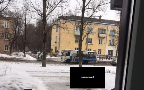 Владимирцы возмущены поведением мужчины, нагадившего посреди улицы (фото)