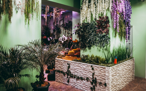 Как отдохнуть на Карибах, не выезжая из города?